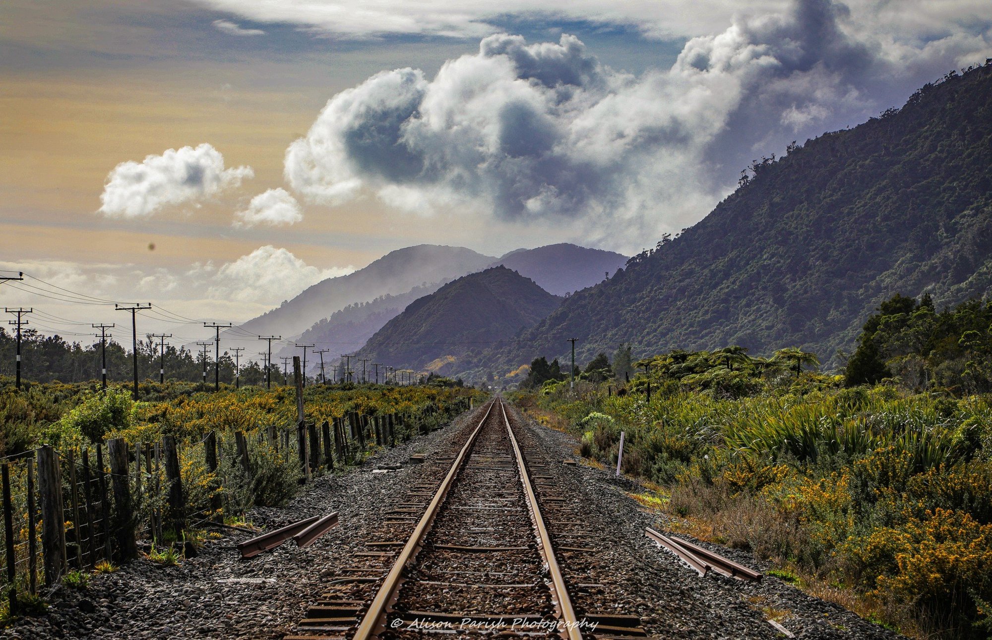 The railway line running straight towards bush-clad ranges under a cloudy sky.